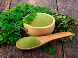 Moringa Powder